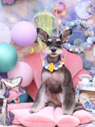 20240804ニーナちゃん